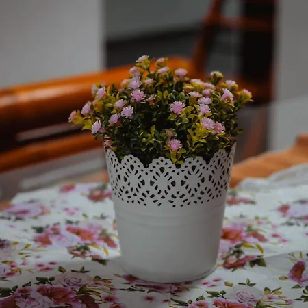 Secret Paradise Zgornje Gorje