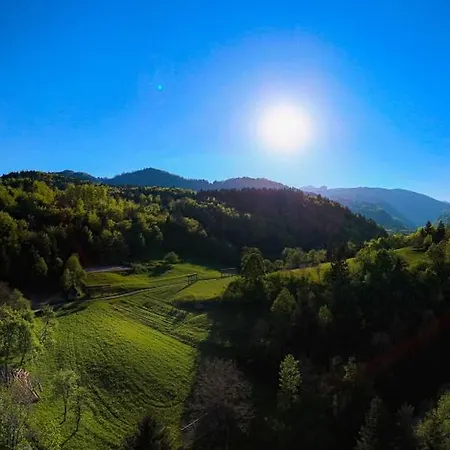 Secret Paradise Daire *