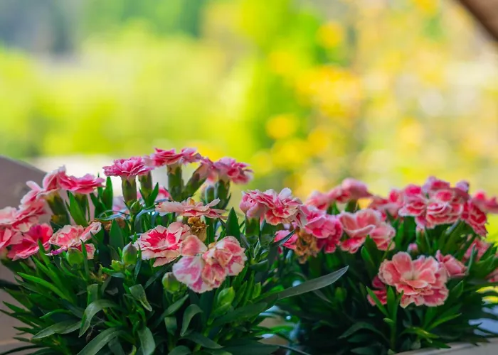 Secret Paradise 公寓 *