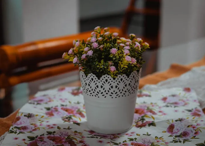 Secret Paradise Zgornje Gorje